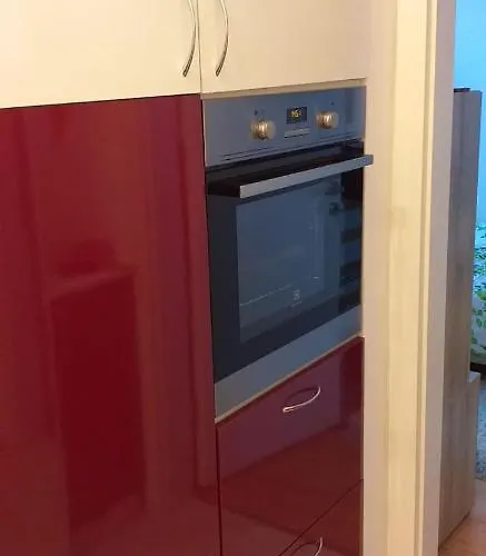 Aphrodite Rose * 阳光海滩