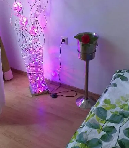 Aphrodite Rose 阳光海滩